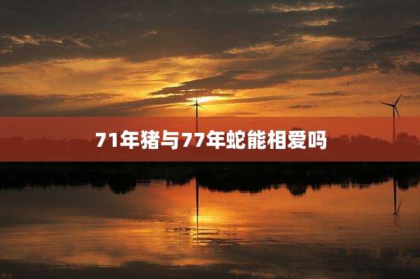 71年猪与77年蛇能相爱吗