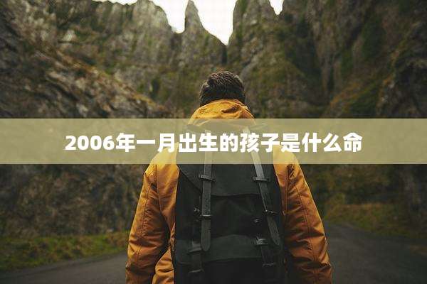 2006年一月出生的孩子是什么命