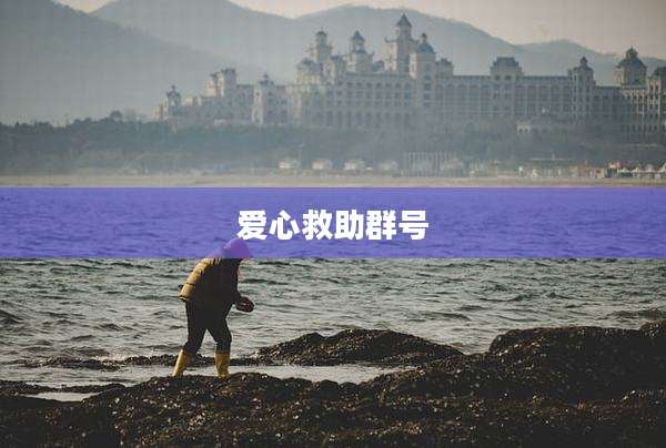 爱心救助群号