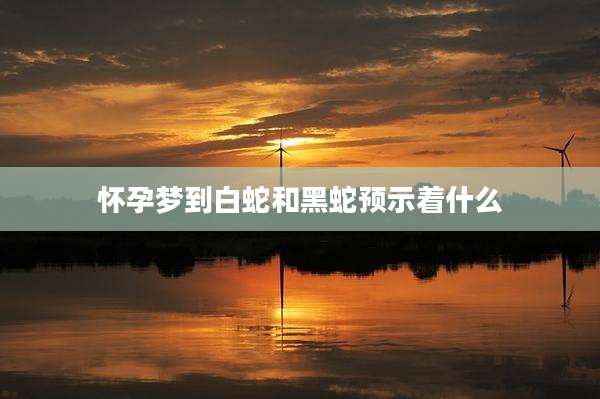 怀孕梦到白蛇和黑蛇预示着什么