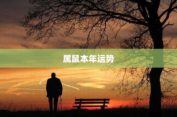 属鼠本年运势