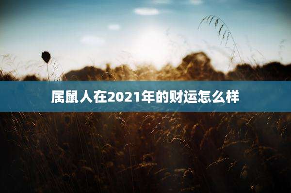 属鼠人在2021年的财运怎么样