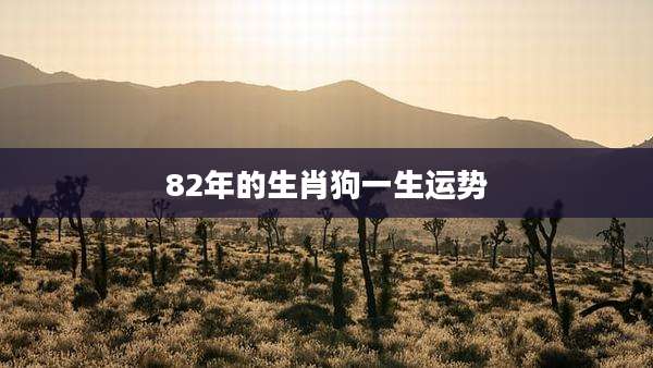 82年的生肖狗一生运势