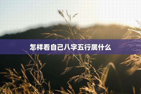 怎样看自己八字五行属什么