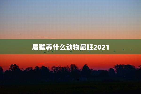 属猴养什么动物最旺2021