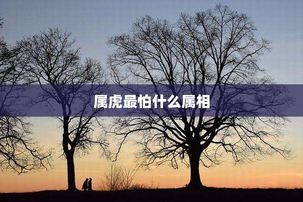 属虎最怕什么属相