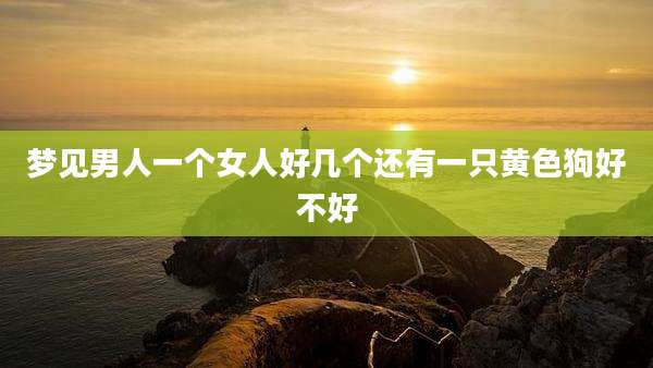 梦见男人一个女人好几个还有一只黄色狗好不好