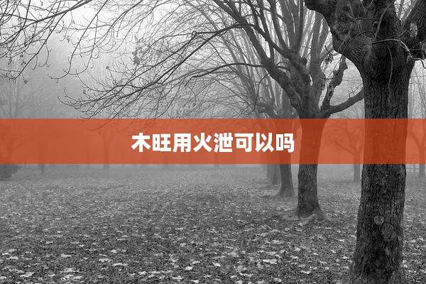 木旺用火泄可以吗