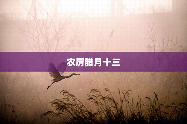 农厉腊月十三