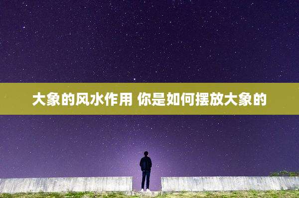 大象的风水作用 你是如何摆放大象的