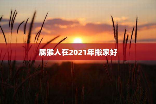 属猴人在2021年搬家好