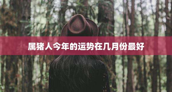 属猪人今年的运势在几月份最好