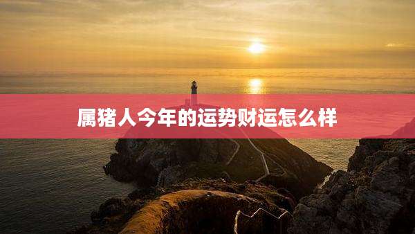 属猪人今年的运势财运怎么样