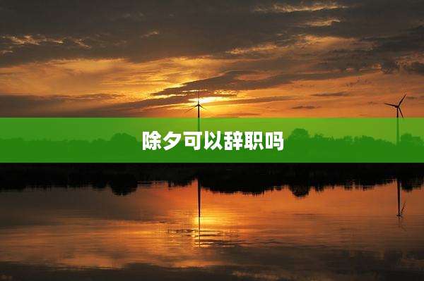 除夕可以辞职吗