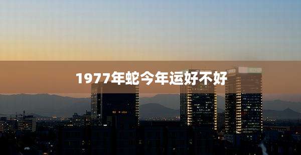 1977年蛇今年运好不好