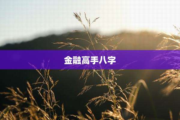 金融高手八字