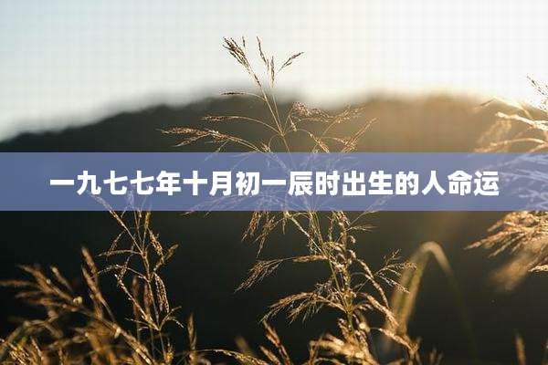一九七七年十月初一辰时出生的人命运