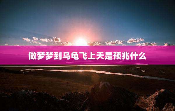 做梦梦到乌龟飞上天是预兆什么