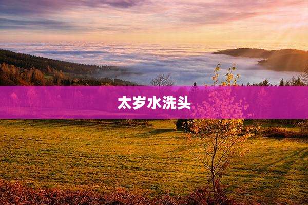 太岁水洗头