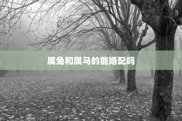 属兔和属马的能婚配吗