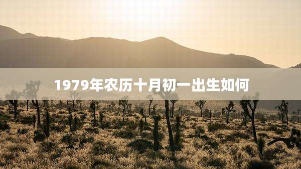1979年农历十月初一出生如何