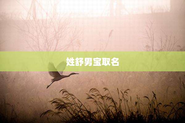 姓舒男宝取名