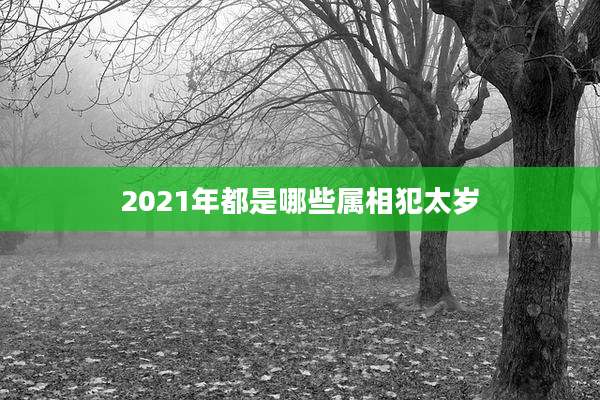 2021年都是哪些属相犯太岁