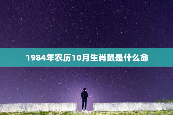 1984年农历10月生肖鼠是什么命