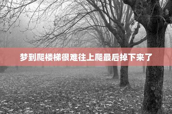 梦到爬楼梯很难往上爬最后掉下来了