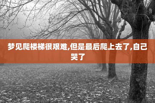 梦见爬楼梯很艰难,但是最后爬上去了,自己哭了