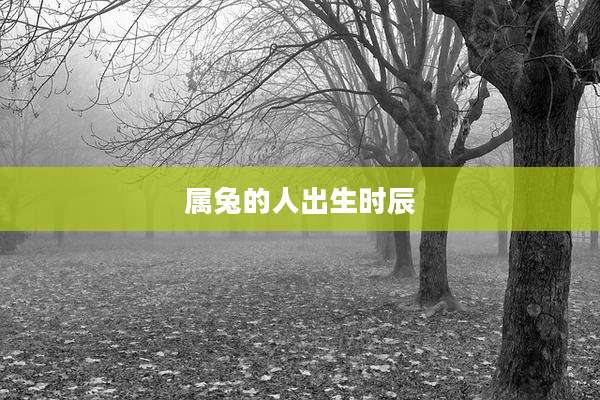 属兔的人出生时辰