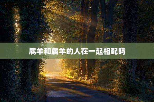 属羊和属羊的人在一起相配吗
