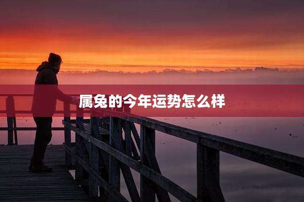 属兔的今年运势怎么样