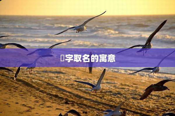 惇字取名的寓意