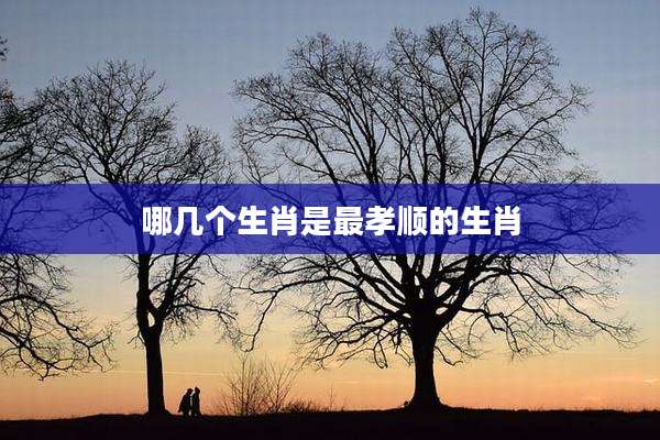 哪几个生肖是最孝顺的生肖