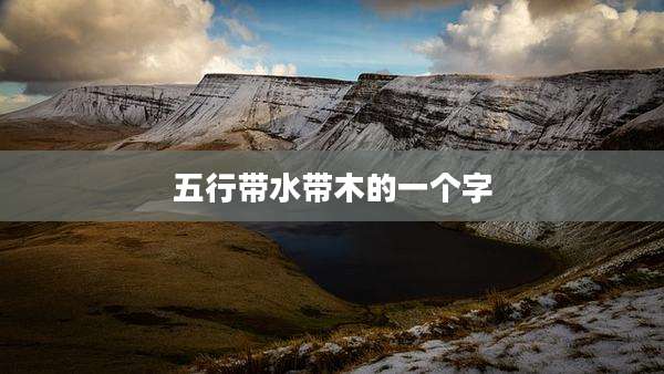 五行带水带木的一个字