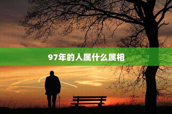 97年的人属什么属相
