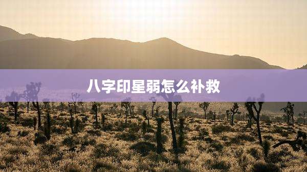 八字印星弱怎么补救