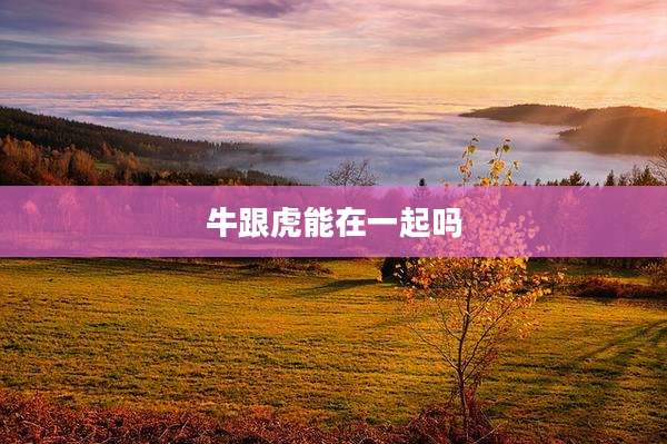 牛跟虎能在一起吗