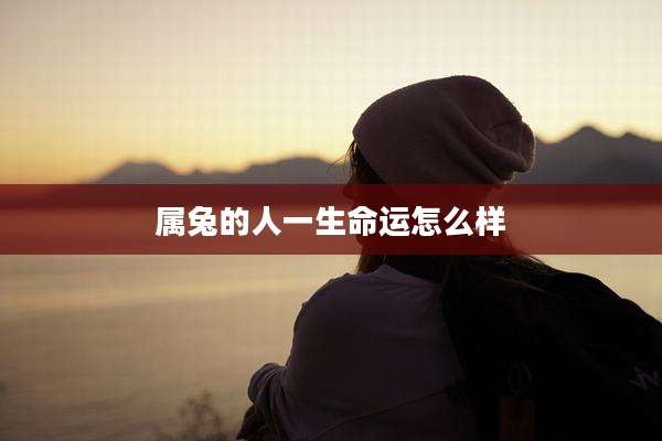 属兔的人一生命运怎么样