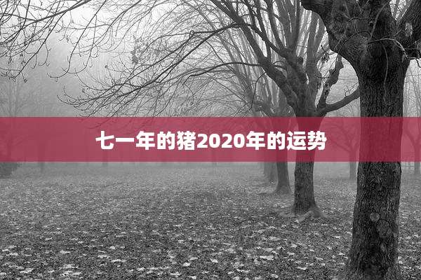 七一年的猪2020年的运势
