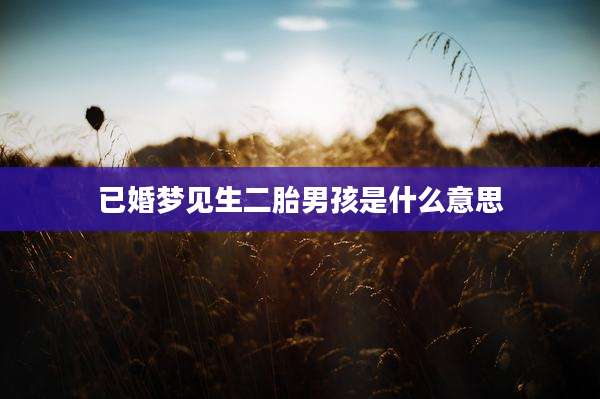 已婚梦见生二胎男孩是什么意思