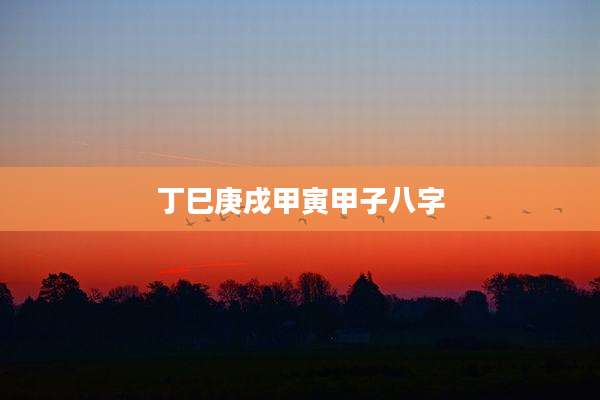 丁巳庚戌甲寅甲子八字