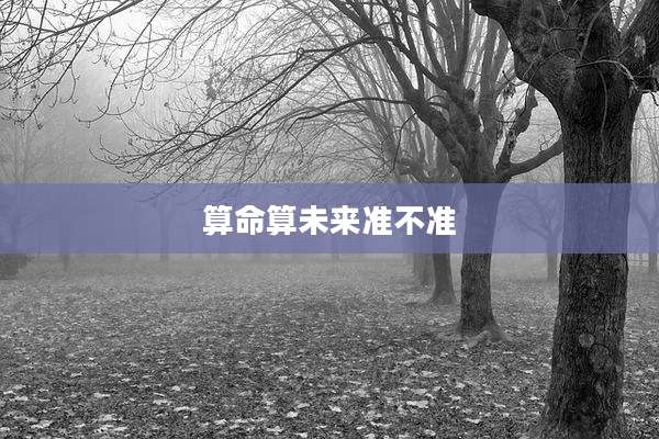 算命算未来准不准