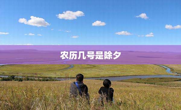 农历几号是除夕