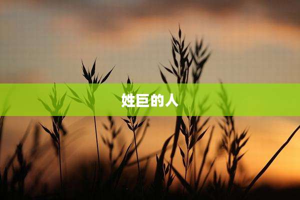 姓巨的人