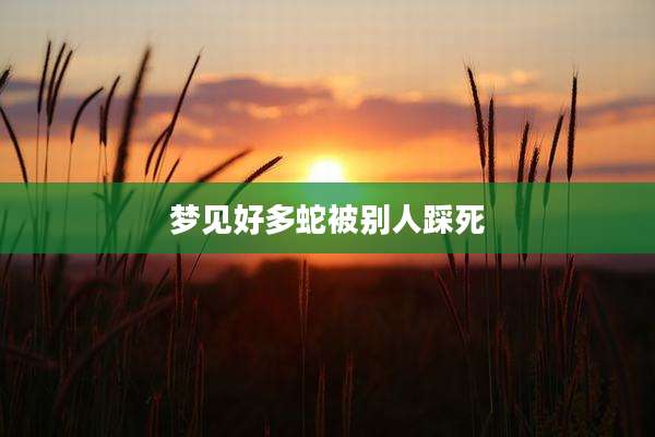梦见好多蛇被别人踩死