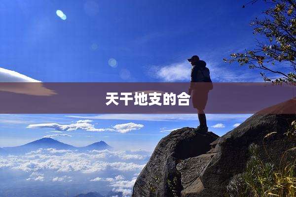天干地支的合