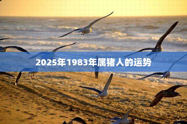 2025年1983年属猪人的运势