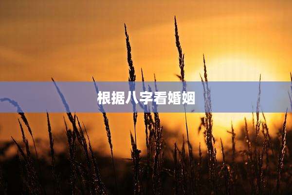 根据八字看婚姻